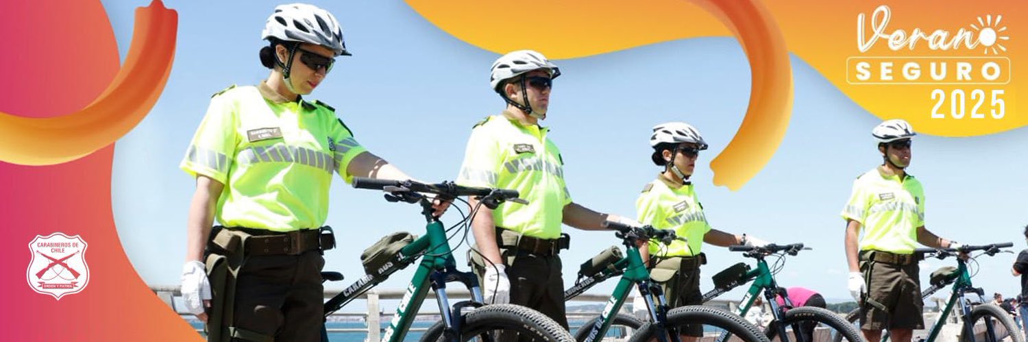 Carabineros Prefectura Sur's banner