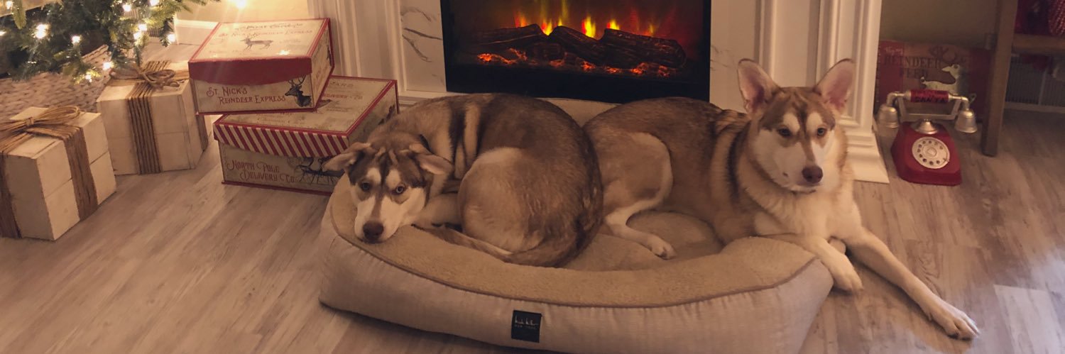 The Proper Poochies banner