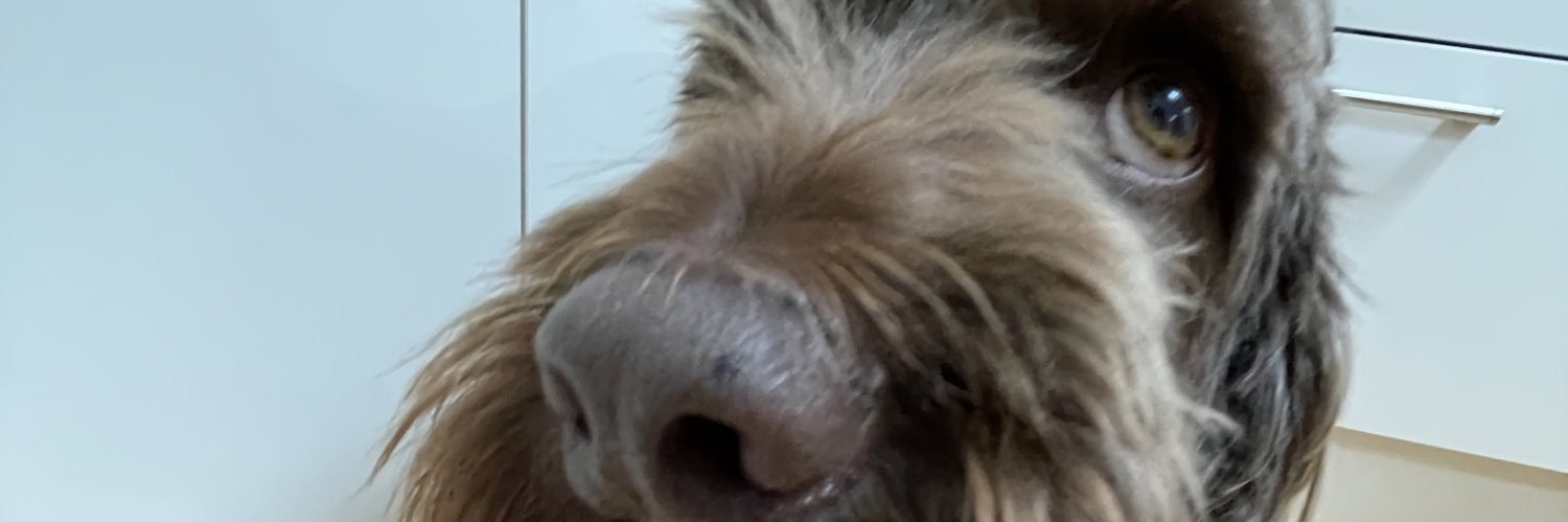edye_west's profile banner image