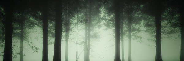 SpookyScary87 Profile Banner