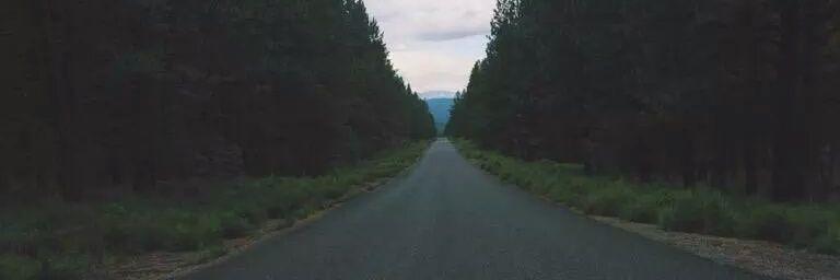 762alien's profile banner image