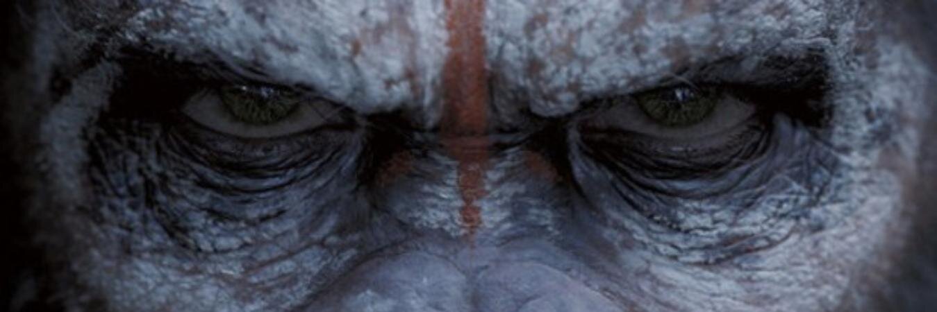 RealityConcept's profile banner image