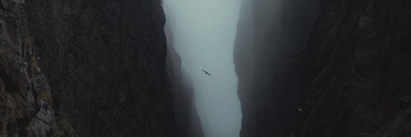 GauiP Profile Banner