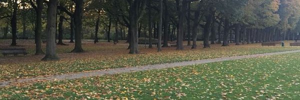 avinashbais11 Profile Banner