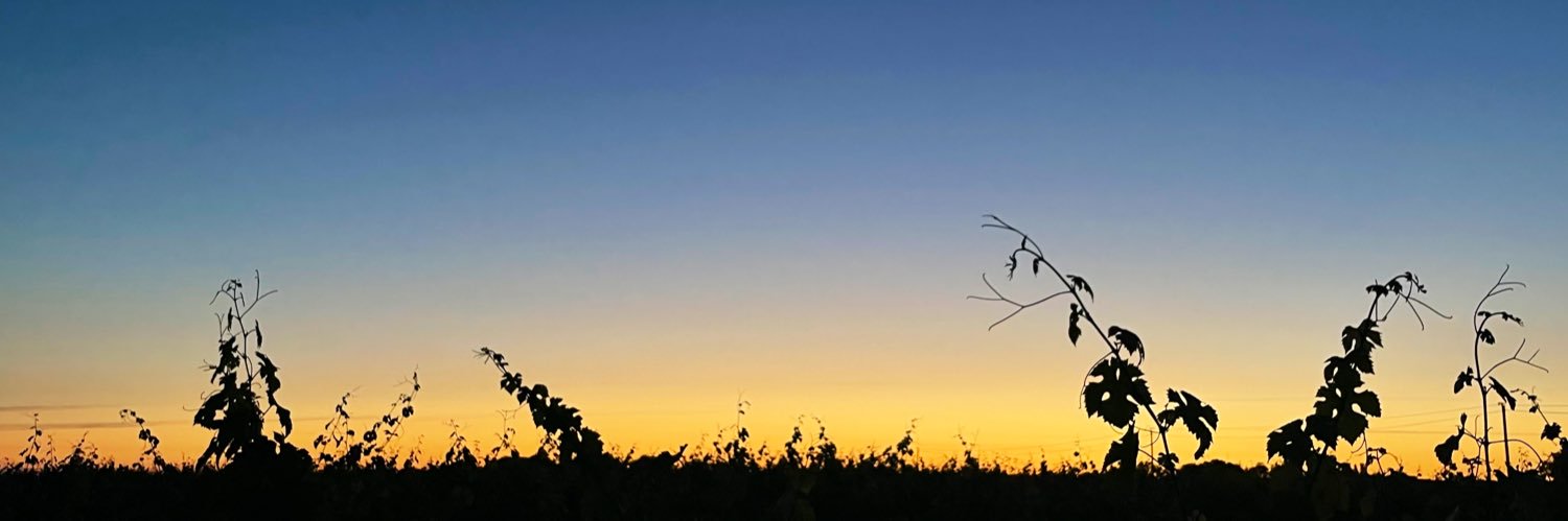 Laurent Poucan banner