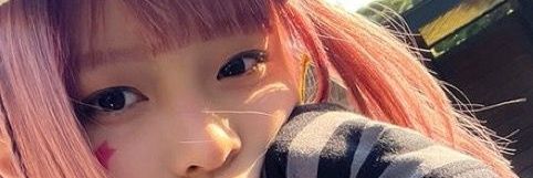 flan banner