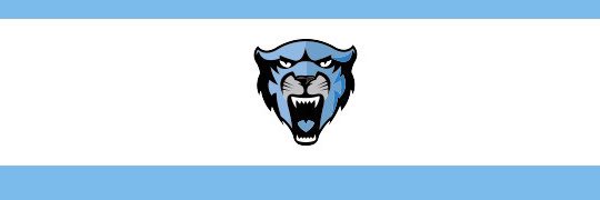 Ty Schlagel's banner