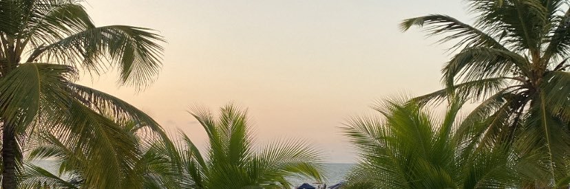 emeperodriguez's profile banner image