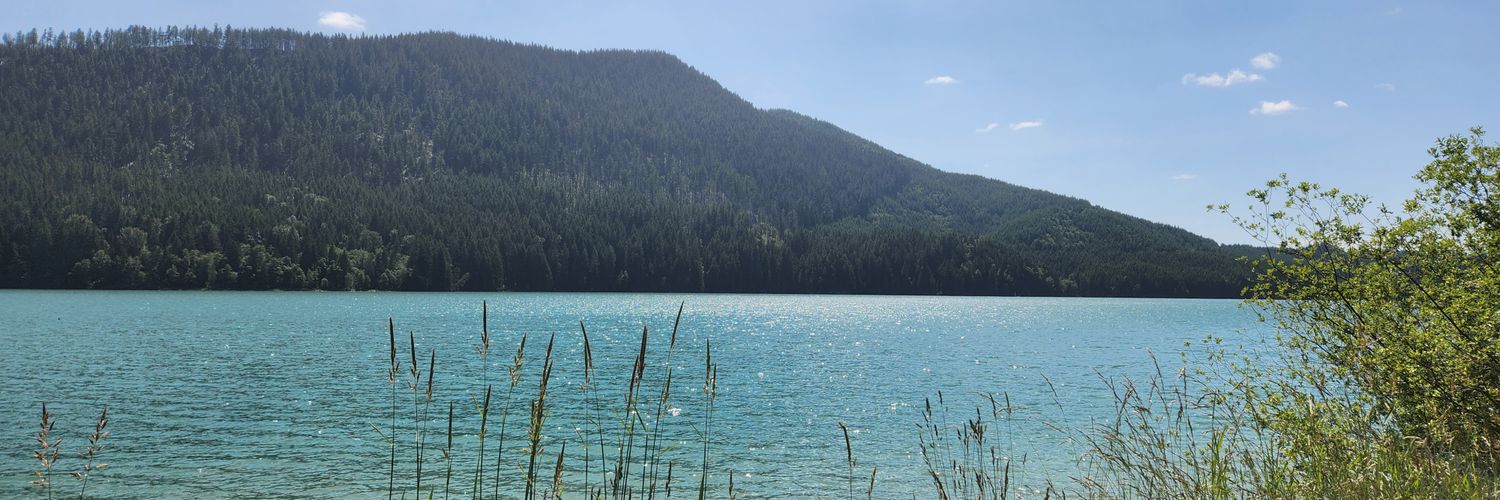 Daniel Tillman banner