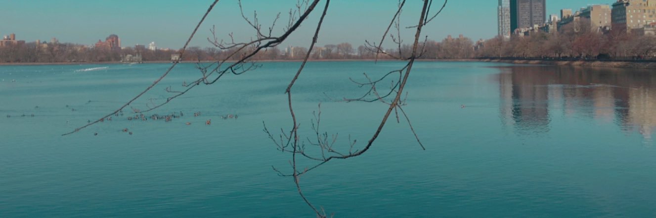 larafranc_'s profile banner image
