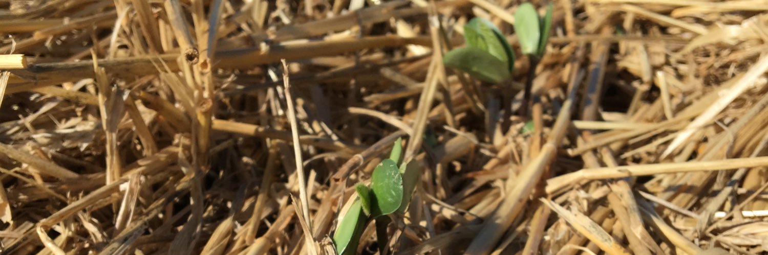 Katherine Rod banner