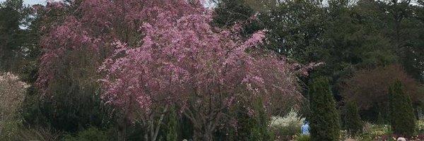 iDevAfrica20 Profile Banner