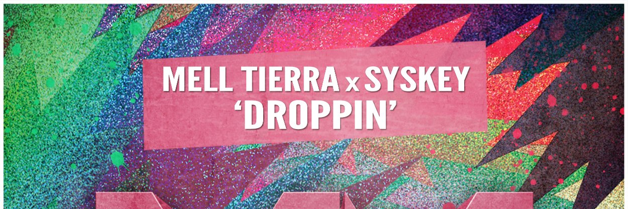Mell Tierra banner