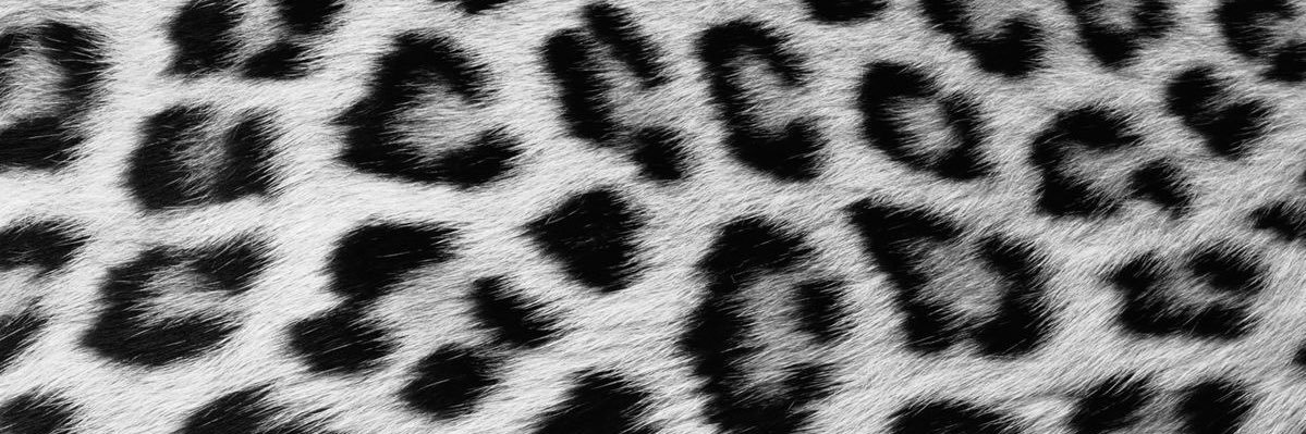 kaiiॐ banner