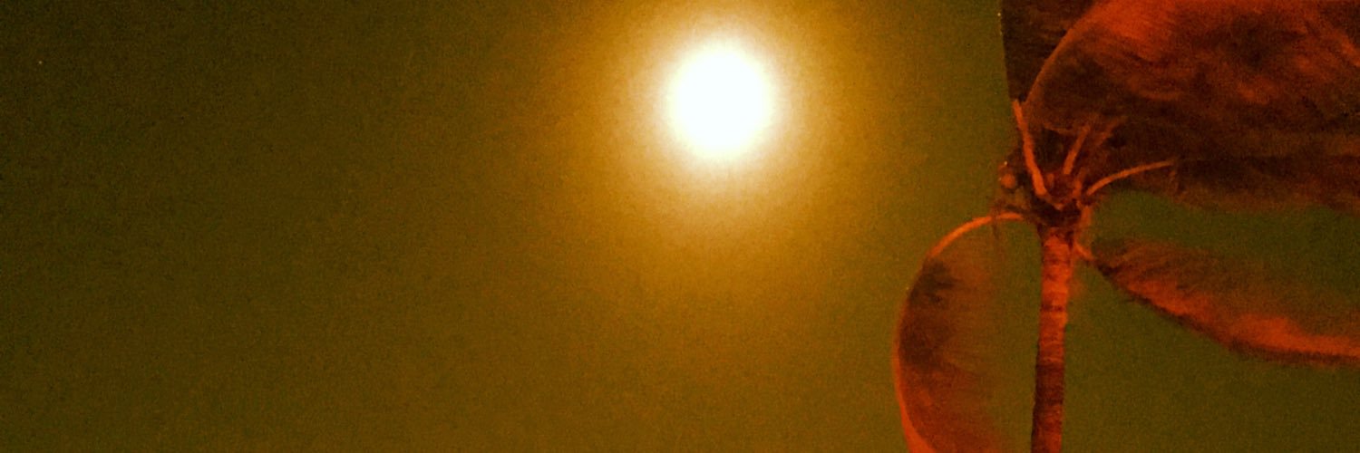 Lectric_Amish's profile banner image