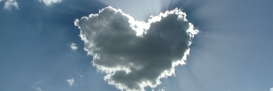 pamelizabeth12's profile banner image