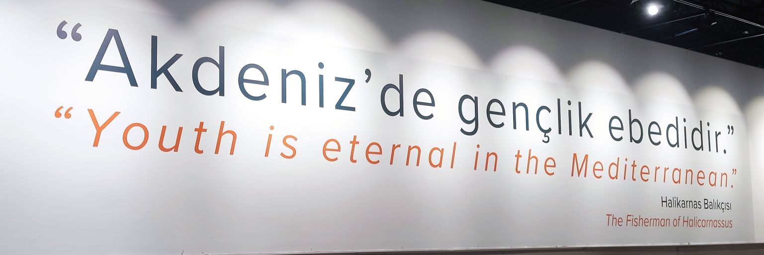 Berna banner