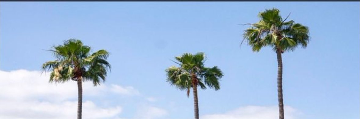 🎀 banner