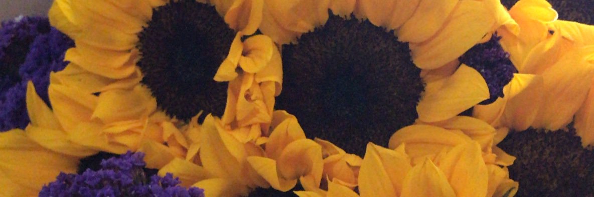JennVGodinez's profile banner image