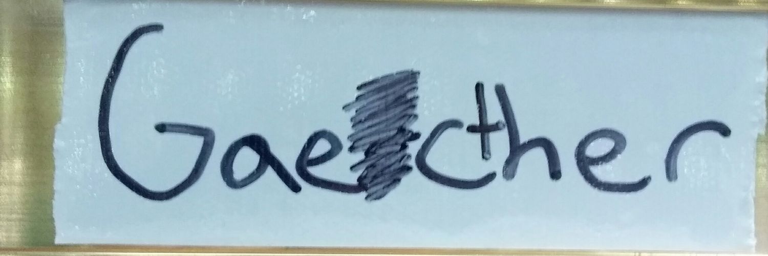 wgaechter's profile banner image