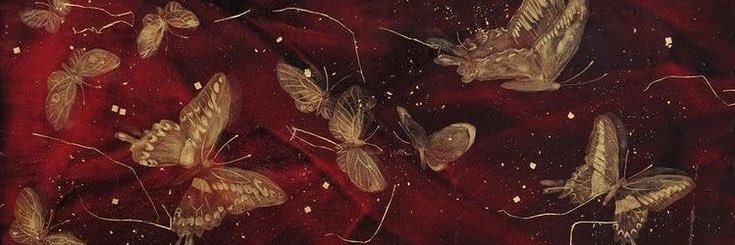 ✩ Lune / Eli banner