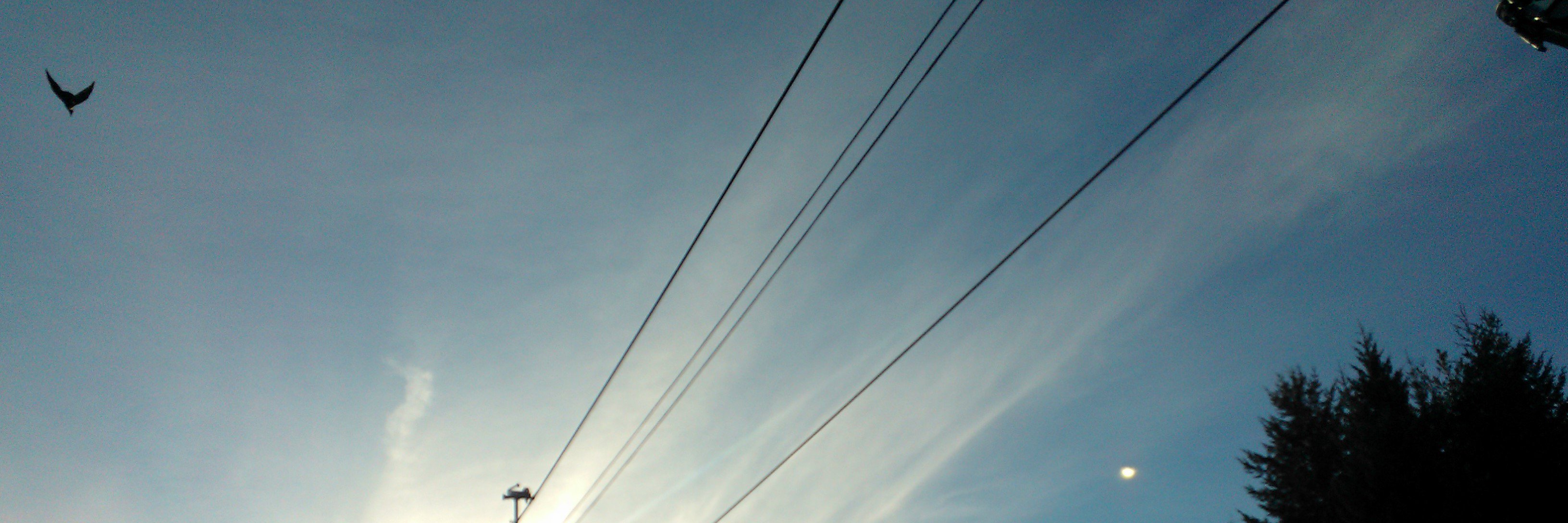 Baberland's profile banner image