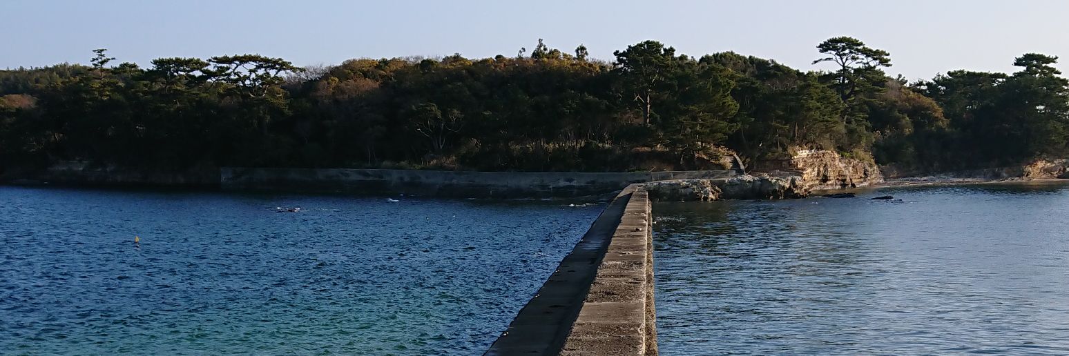usta_chi's profile banner image