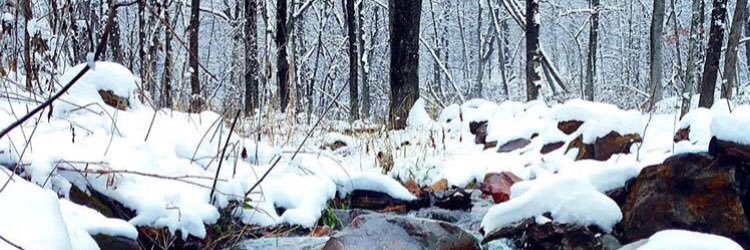 Ren_ski's profile banner image