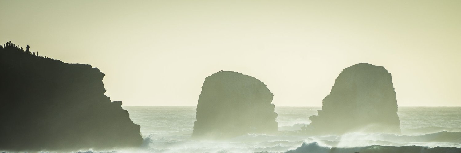 Flor Ilic García 🌳 banner