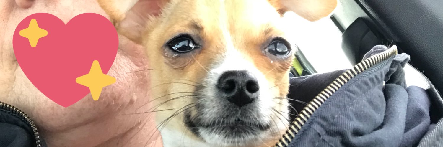 iluvxena's profile banner image