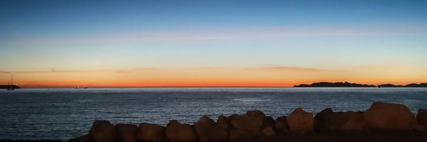 Marta Morandini banner