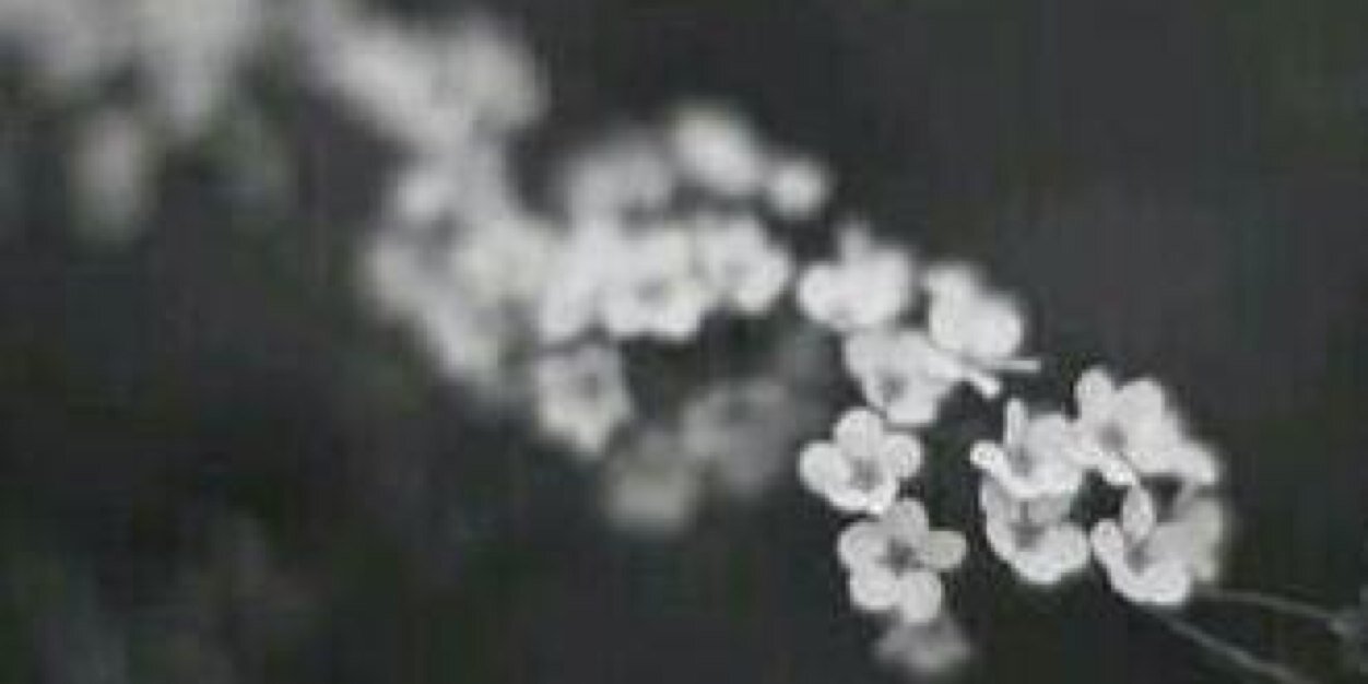 joooojo331's profile banner image