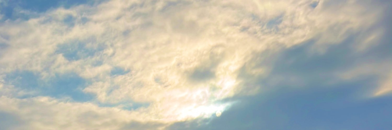 みっちー(Mitchie) banner