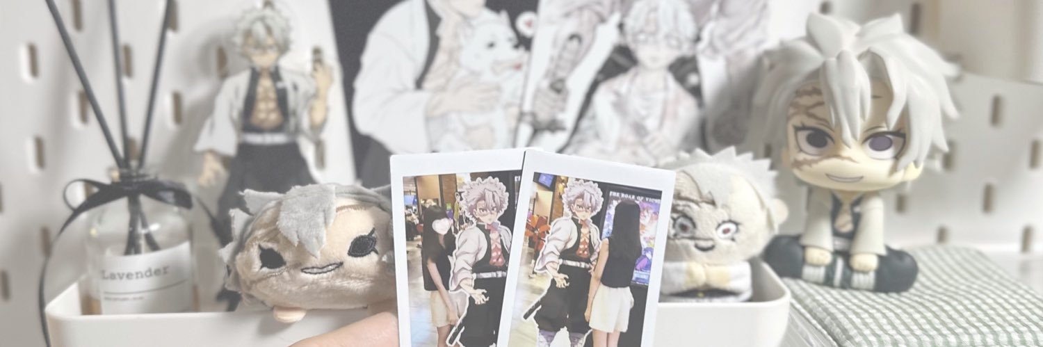 shochesto's profile banner image