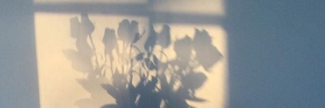 s banner