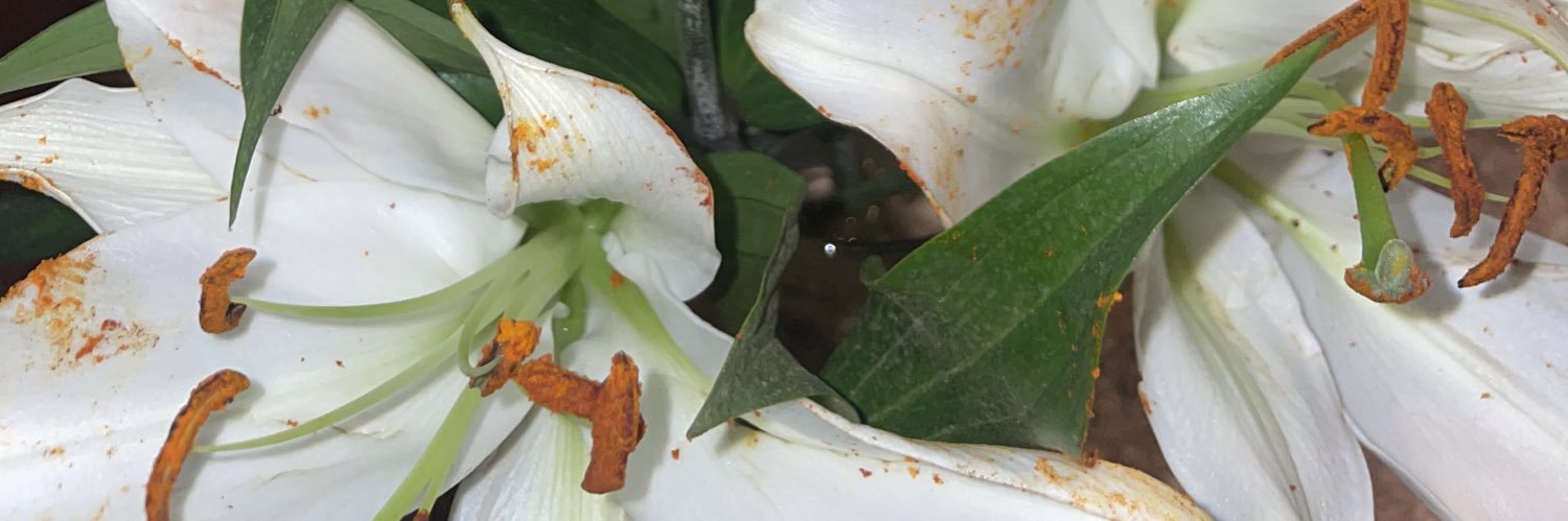 3tmsn_'s profile banner image