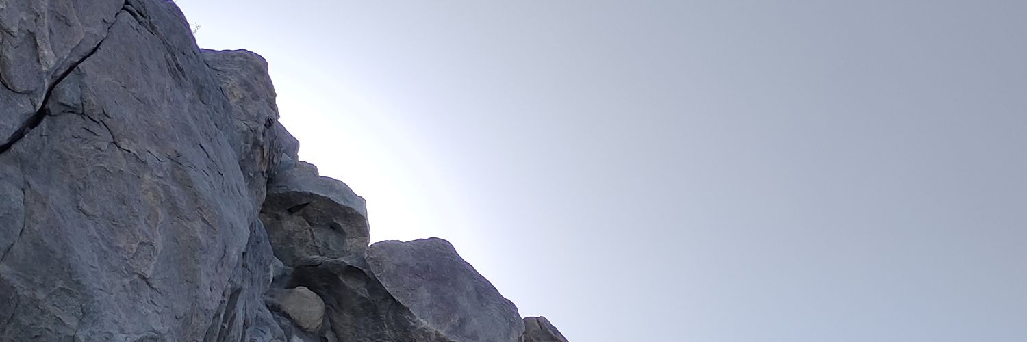 lil_moondust's profile banner image