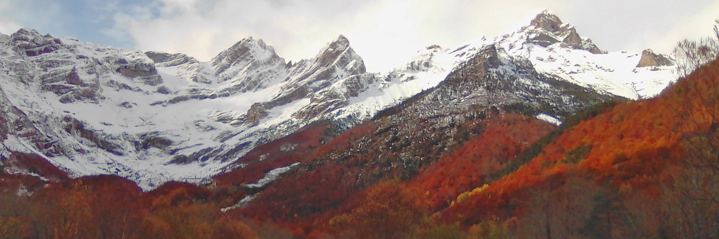 Benjamín Recacha 🇵🇸🇱🇧 banner