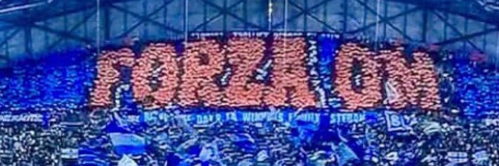 AF13 banner