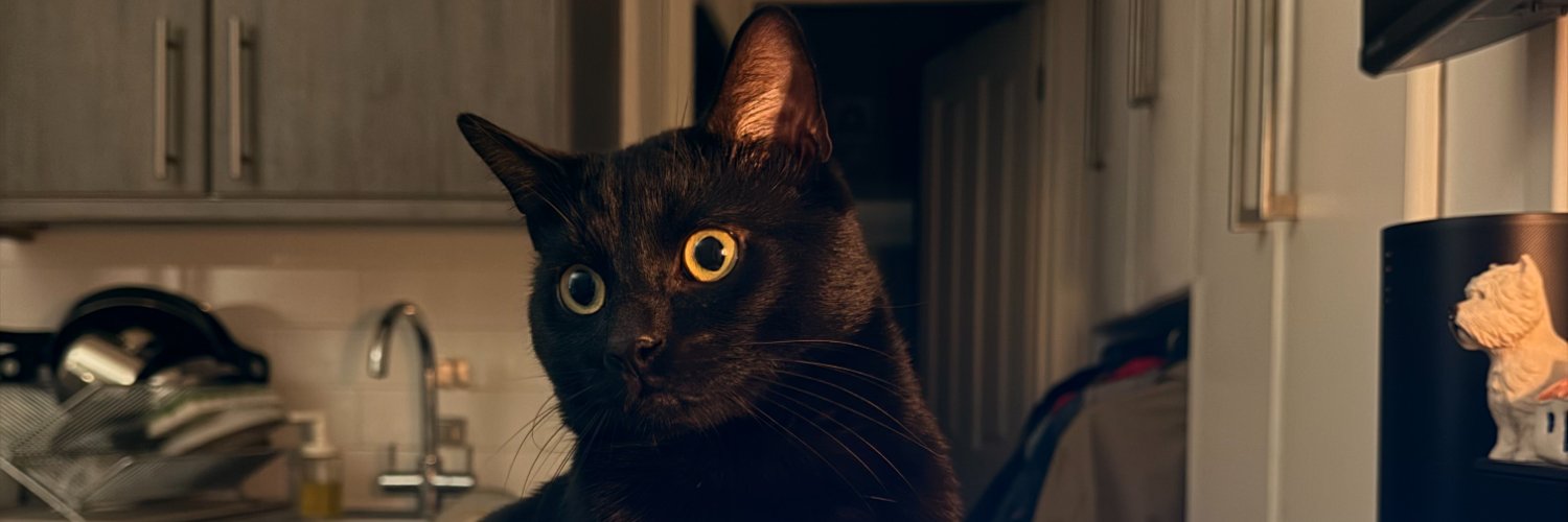 sitaparajay's profile banner image