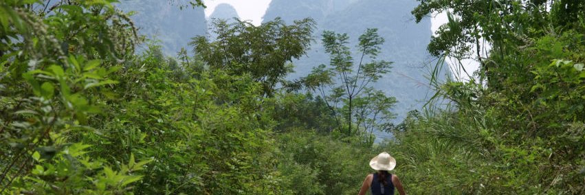 Livia Álvarez banner