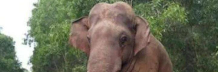 Product Master(Ajay Kumar) banner