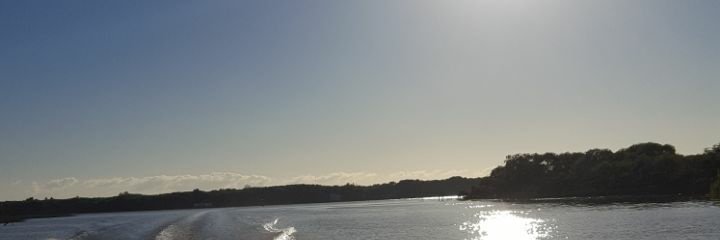 guca25's profile banner image