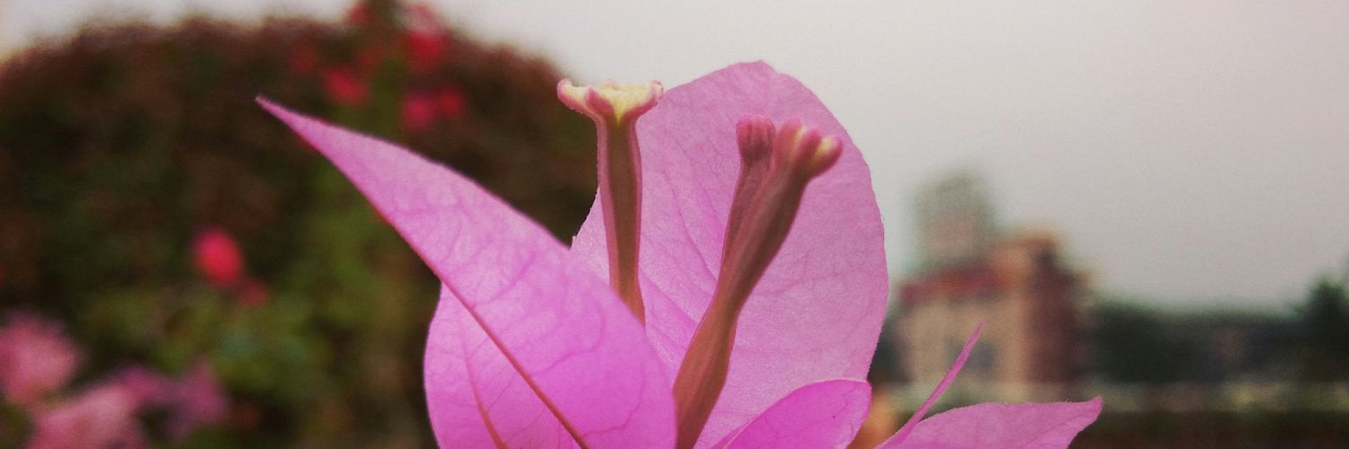 LithinPrakash's profile banner image