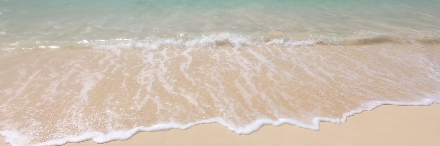 810chanpe's profile banner image