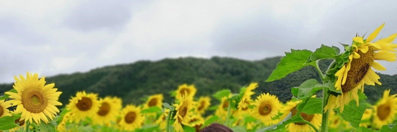 ringousagi2080's profile banner image