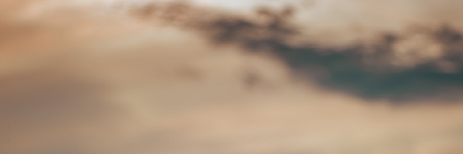 merlibrandan2's profile banner image