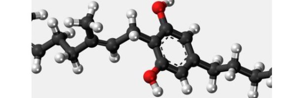 tfkglobal Profile Banner