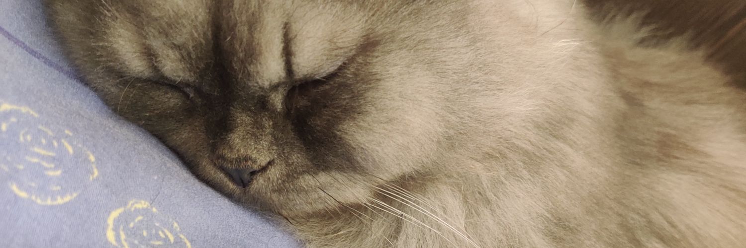 sasharon43's profile banner image