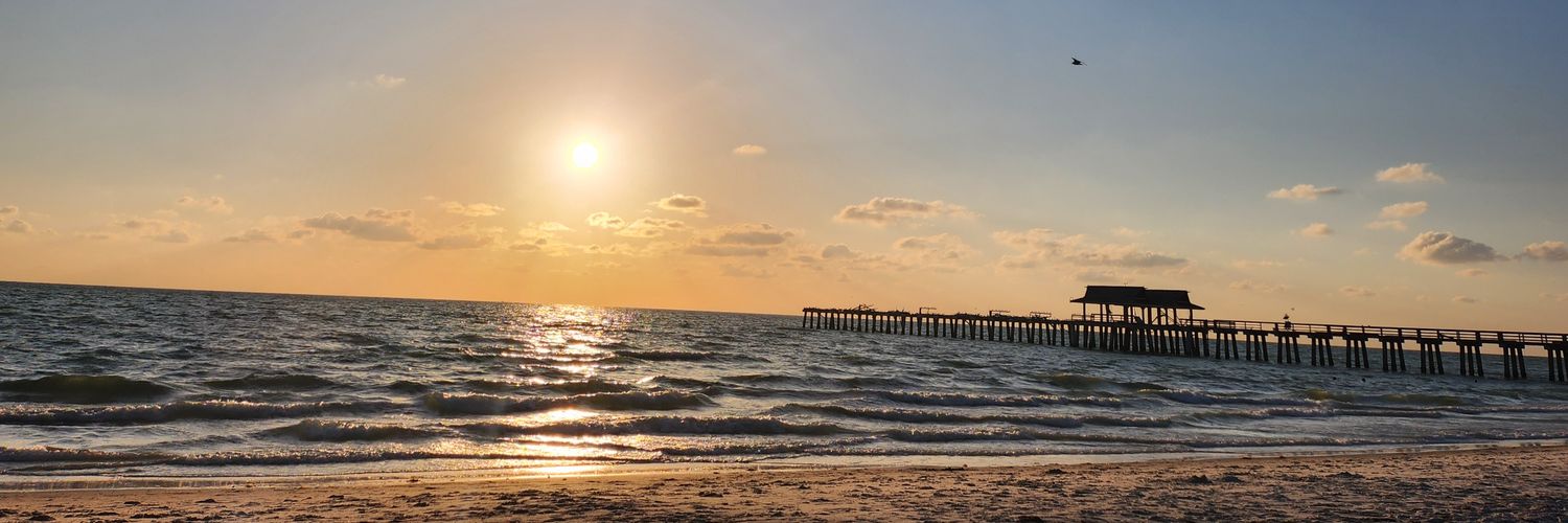 flo_resch's profile banner image